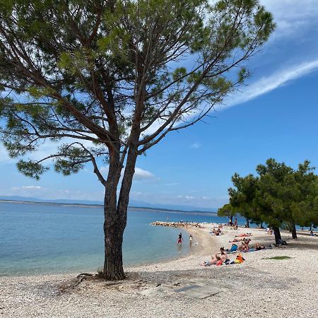 Family Apartments Vesna- 100 M Beach -Center Crikvenica Exterior photo