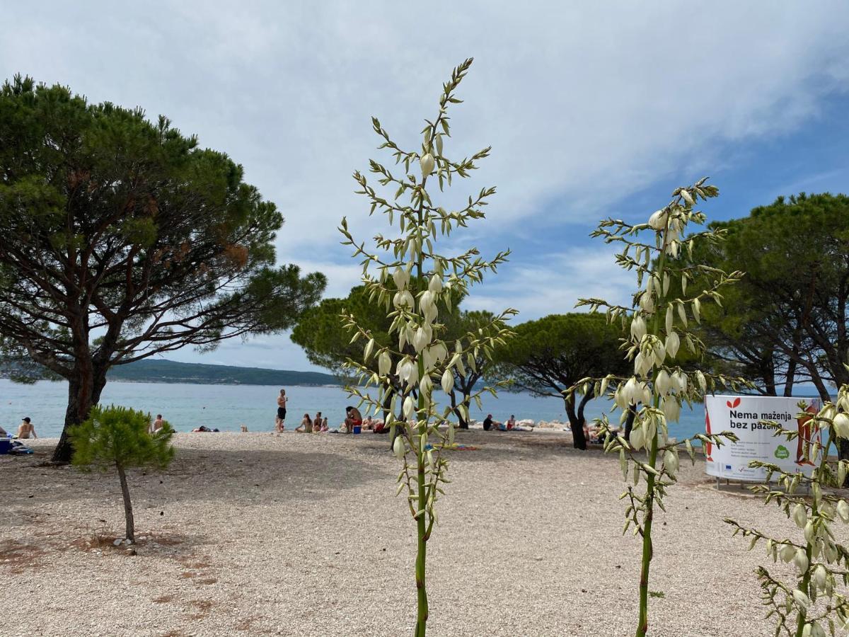 Family Apartments Vesna- 100 M Beach -Center Crikvenica Exterior photo